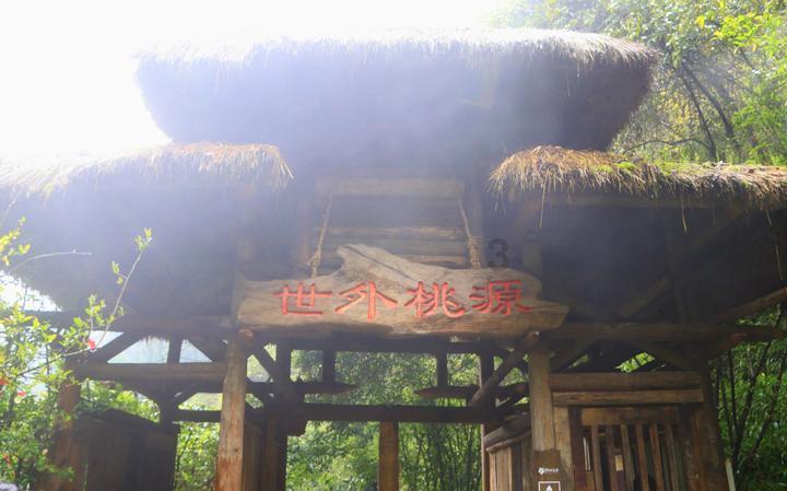 猫头鹰男孩