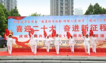 黑道圣徒4